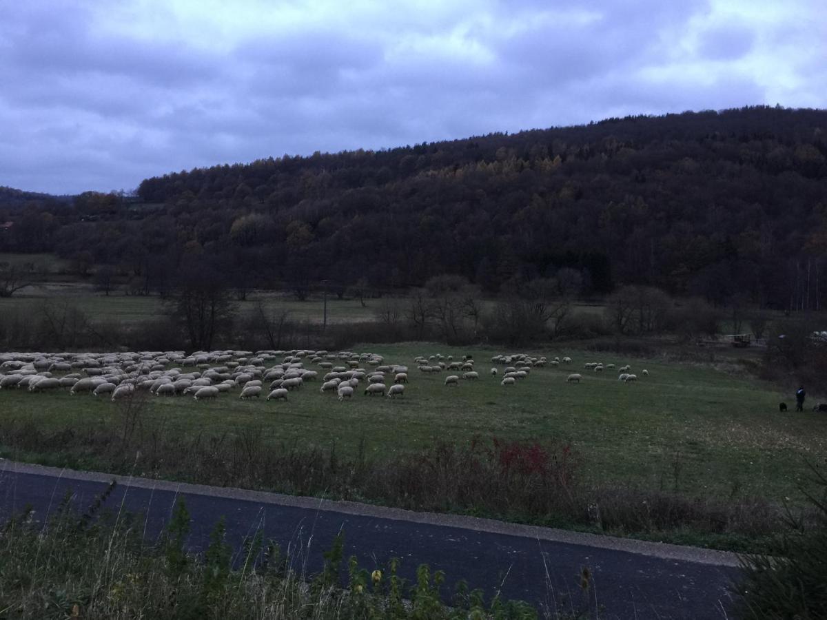 Landhotel Weisses Ross Garni Bad Brückenau Dış mekan fotoğraf