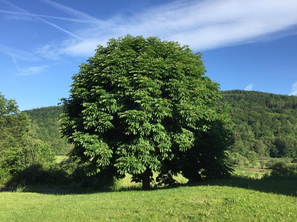 Landhotel Weisses Ross Garni Bad Brückenau Dış mekan fotoğraf