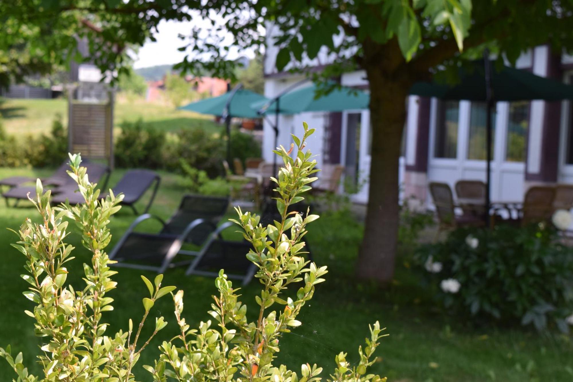 Landhotel Weisses Ross Garni Bad Brückenau Dış mekan fotoğraf
